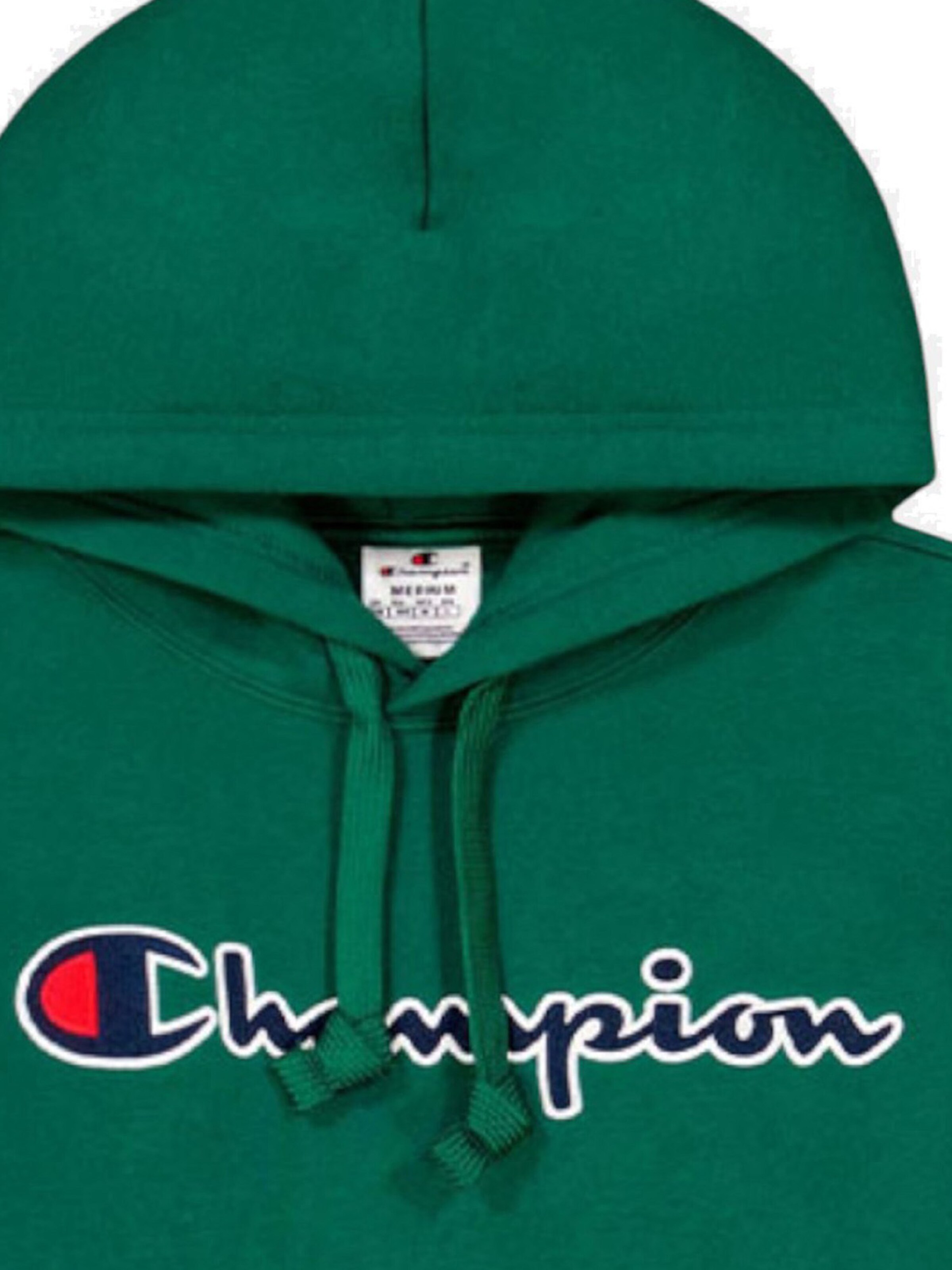 Champion Sweatshirt in Green