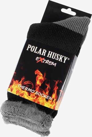 Chaussettes 'Extrem Hot' Polar Husky en noir