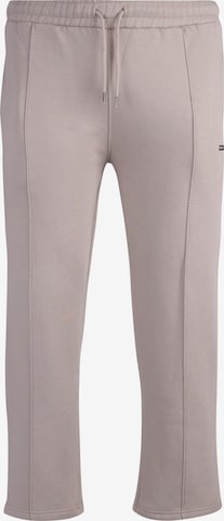 Dropsize Pants in Grey: front