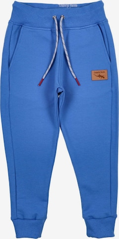 Lagarto Verde Trousers in Blue: front