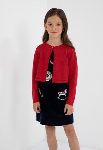Gulliver Knit Cardigan in Red: front