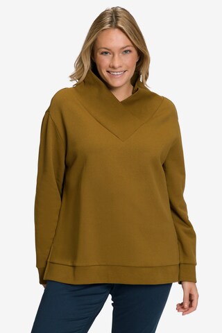 Ulla Popken Pullover  (GOTS) in Braun: predná strana