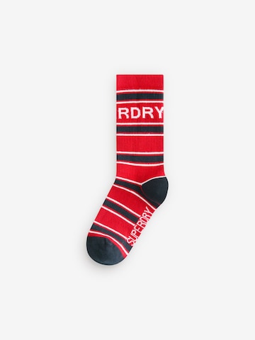 Superdry Nogavice | modra barva