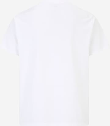 Levi's® Big & Tall Shirt 'Relaxed Fit Tee' in White