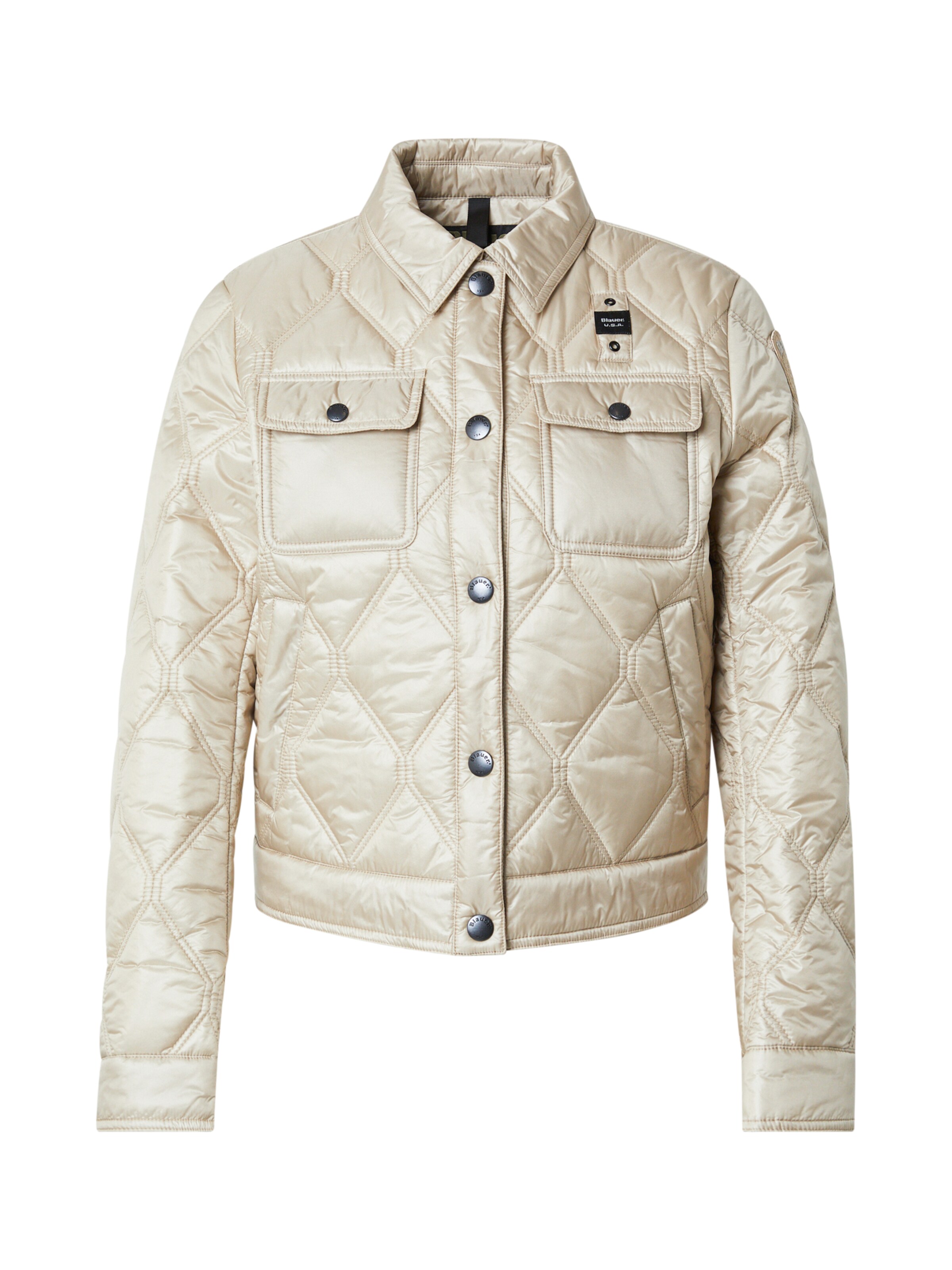 Giacca di mezza stagione 'DELHI' di Blauer.USA in grigio: frontale