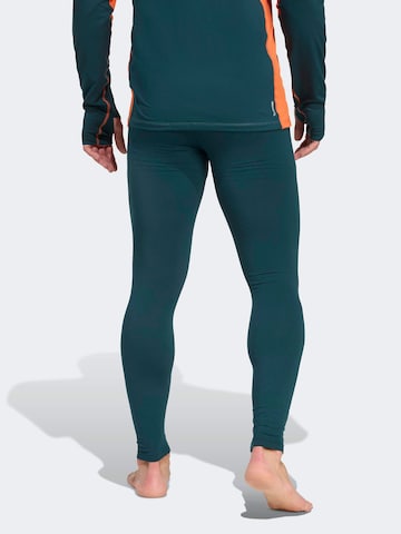 ADIDAS TERREX Αθλητικό σλιπ σε πράσινο