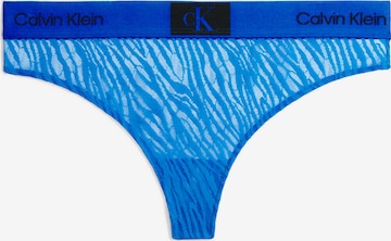 Calvin Klein Underwear Thong in Blue: front