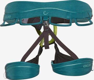 Edelrid Strap 'Autana' in Green