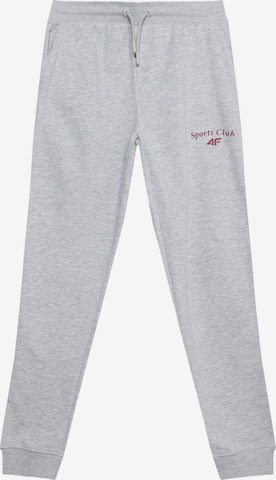 regular Pantaloni sportivi di 4F Junior in grigio: frontale
