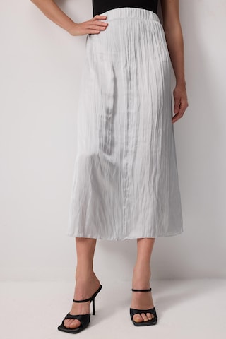 Touche Prive Skirt in Grey: front