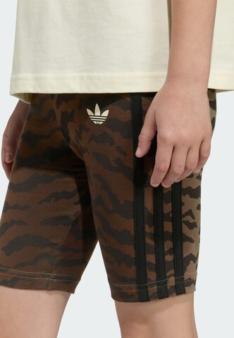 ADIDAS ORIGINALS Set in Wit