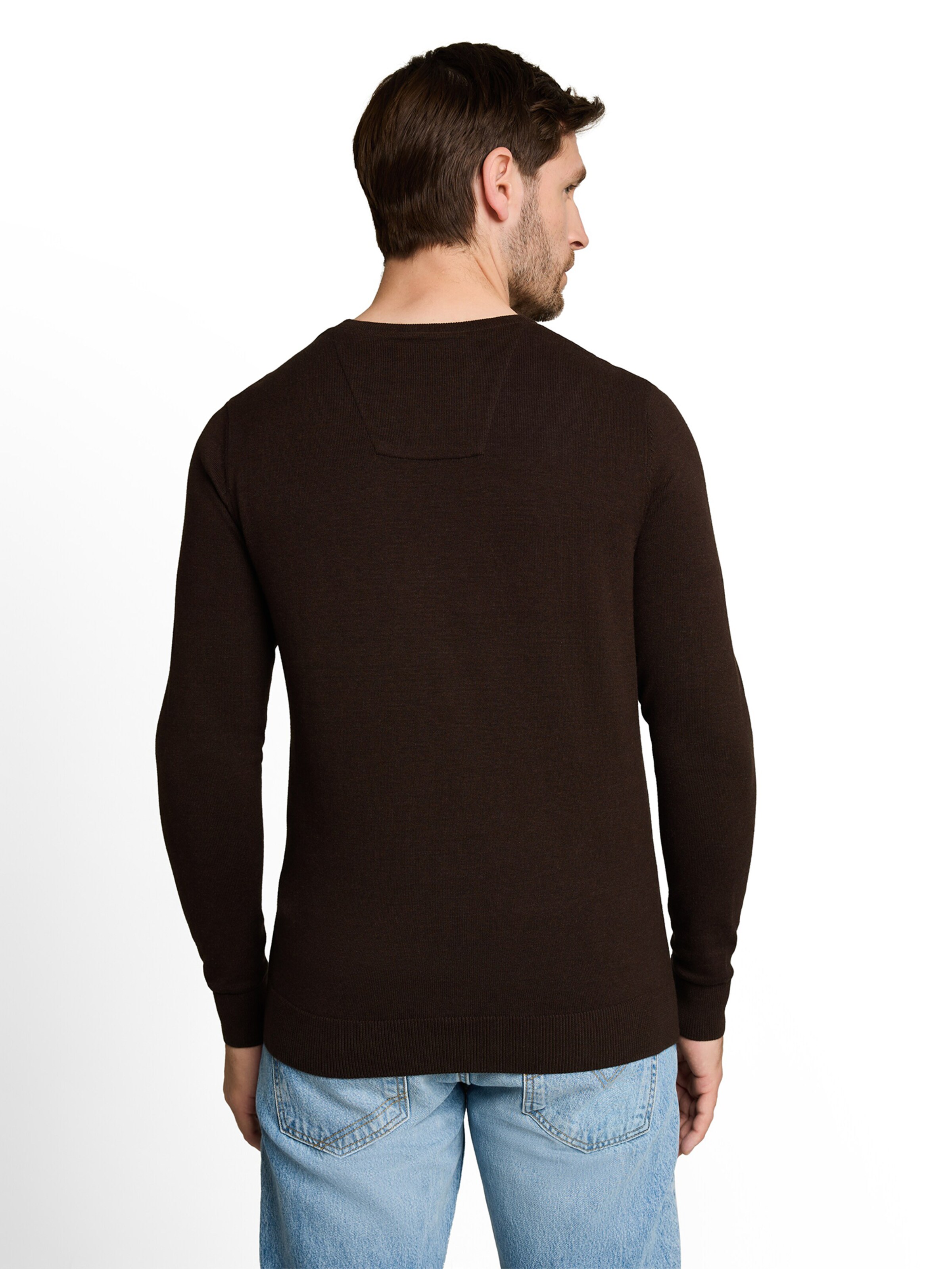 TOM TAILOR Regular fit Trui in Bruin