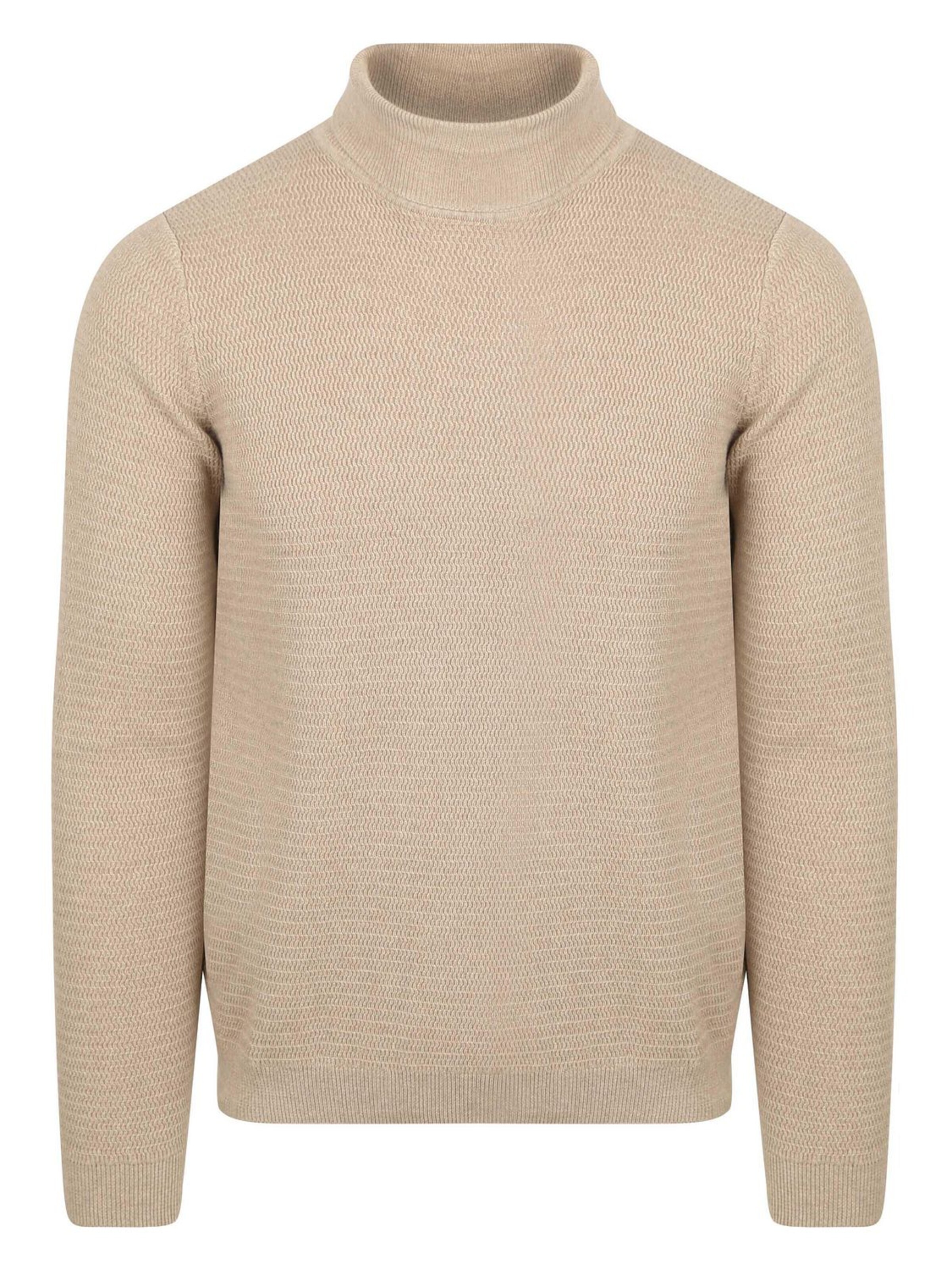 Pull-over Suitable en beige : devant