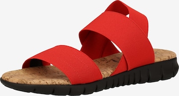 Rapisardi Sandals in Red: front