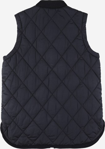 Gilet di TOMMY HILFIGER in blu