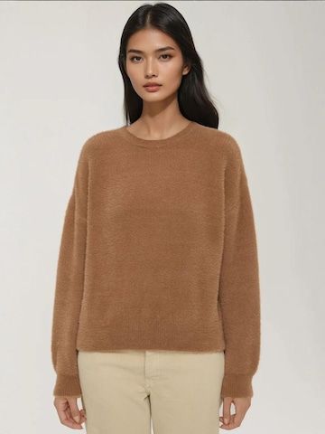 Pull-over 'Pullover' Hiccup en beige : devant