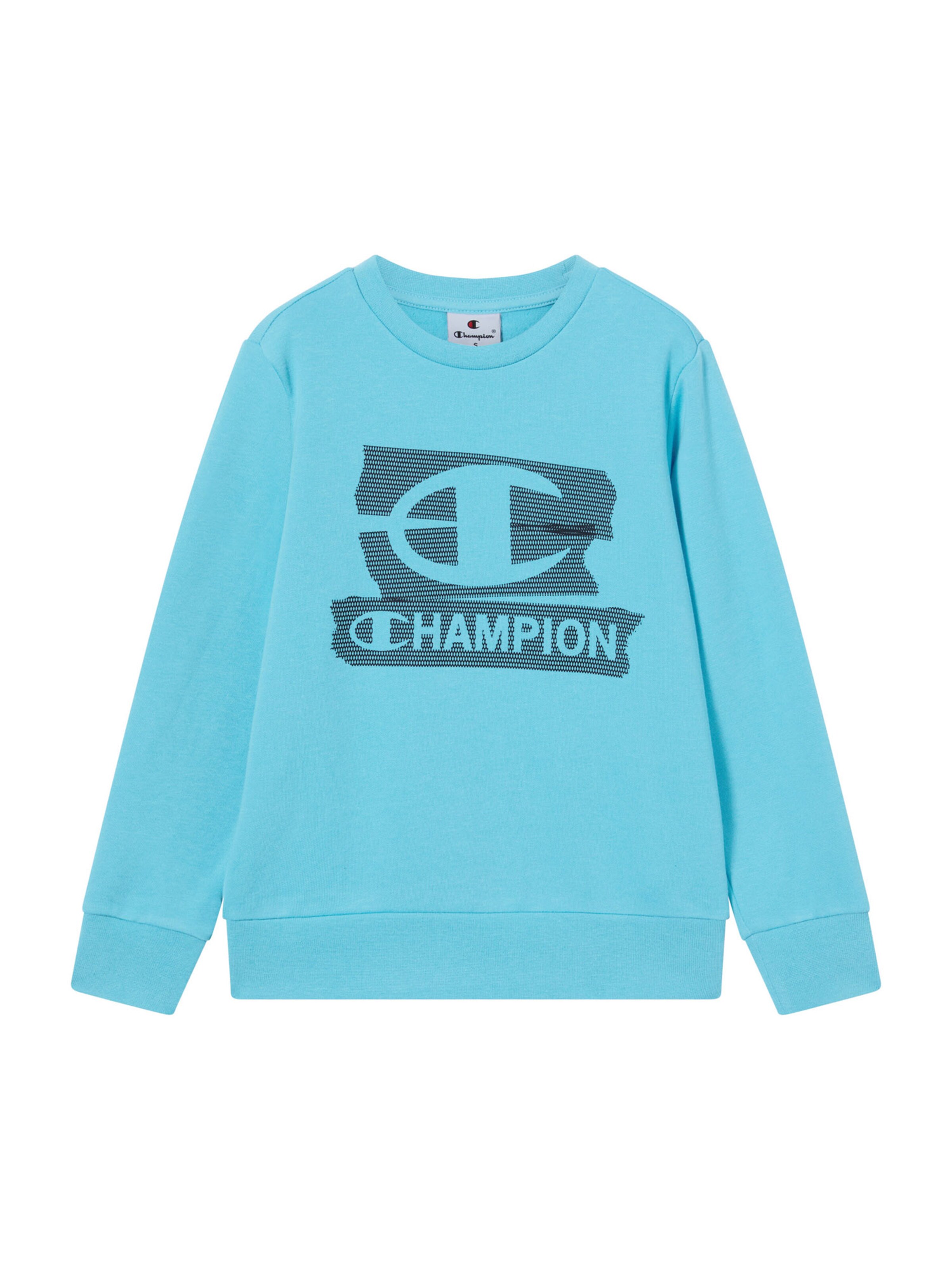 Champion Authentic Athletic Apparel Bluza w kolorze niebieski: przód
