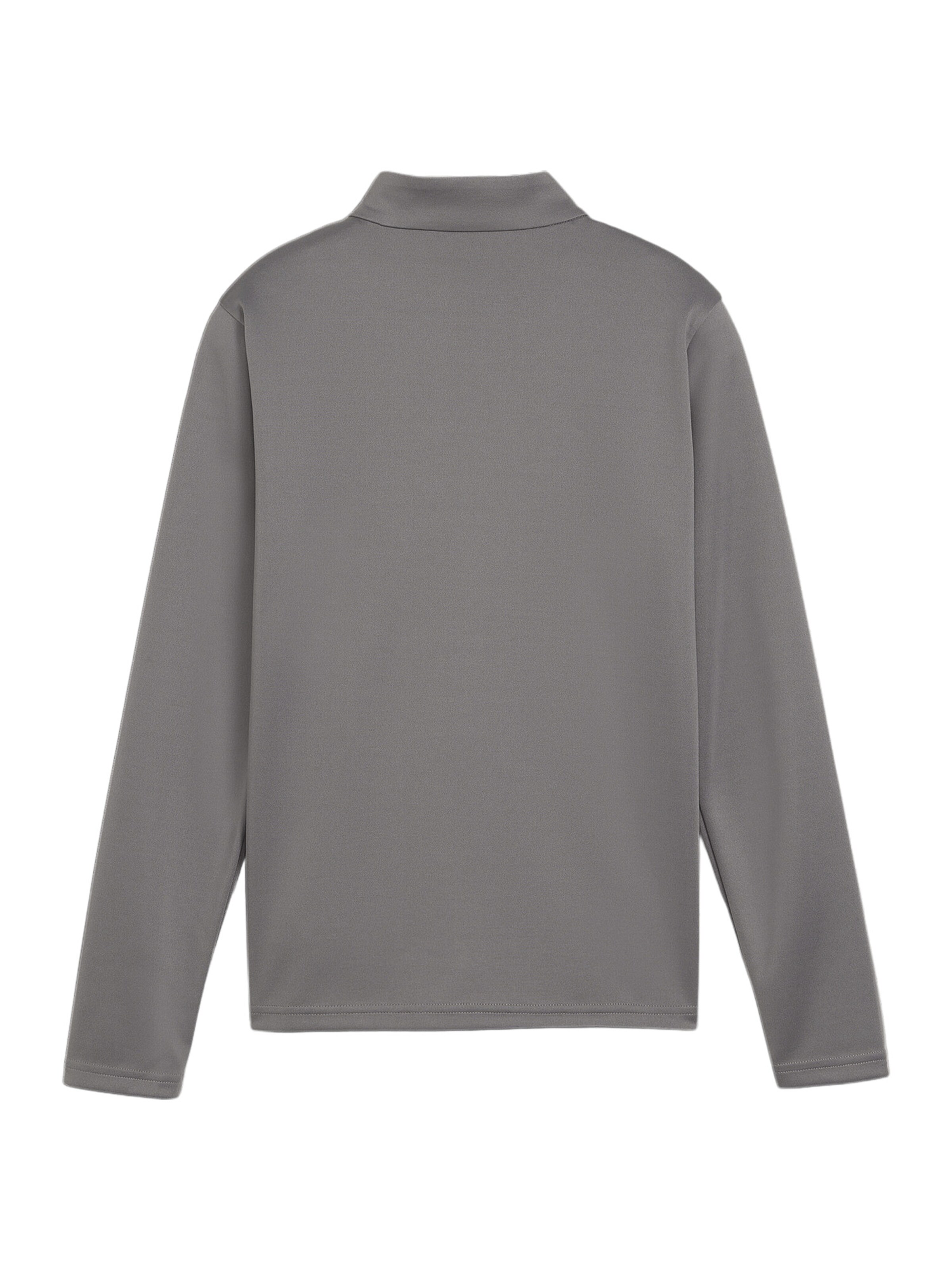 PUMA Performance Shirt 'Team Goal' in Grey