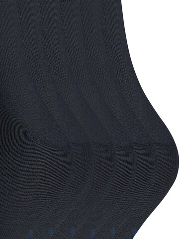 FALKE Socks 'Happy 6-Pack' in Blue