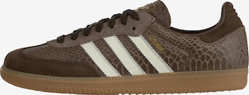 ADIDAS ORIGINALS - Sapatilhas baixas 'Samba' em castanho: frente