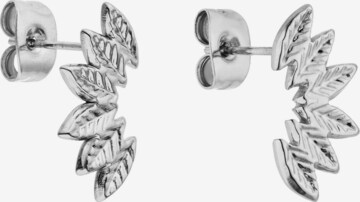 PURELEI Ohrringe 'Leaf' in Silber: Vorderseite