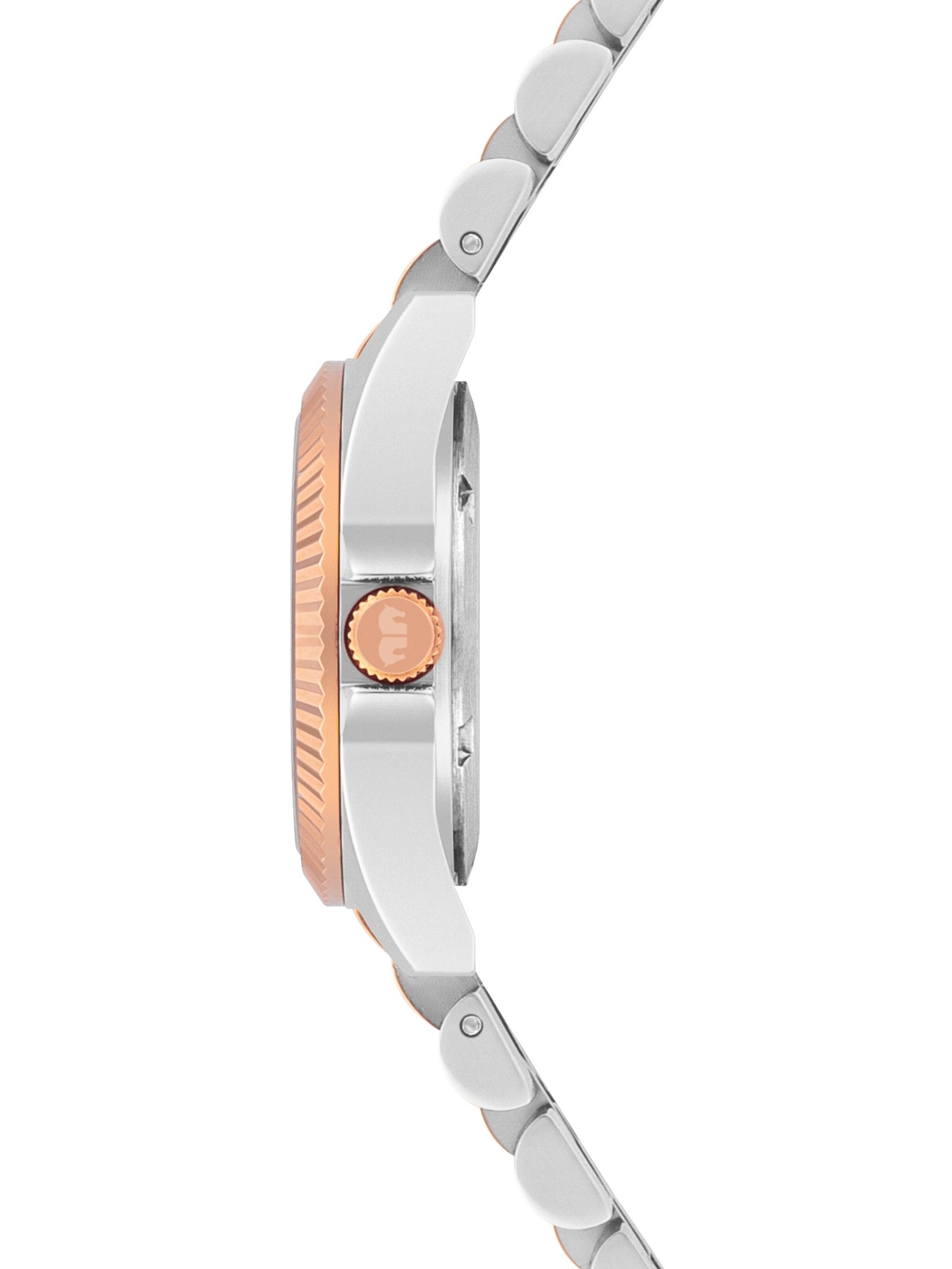 Rhodenwald & Söhne Analog Watch in Silver