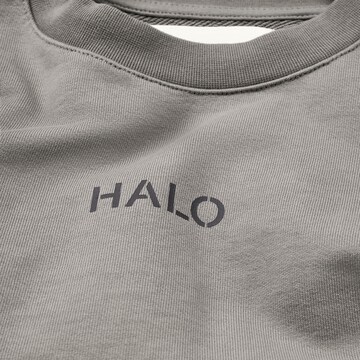 HALO Sweatshirt in Braun