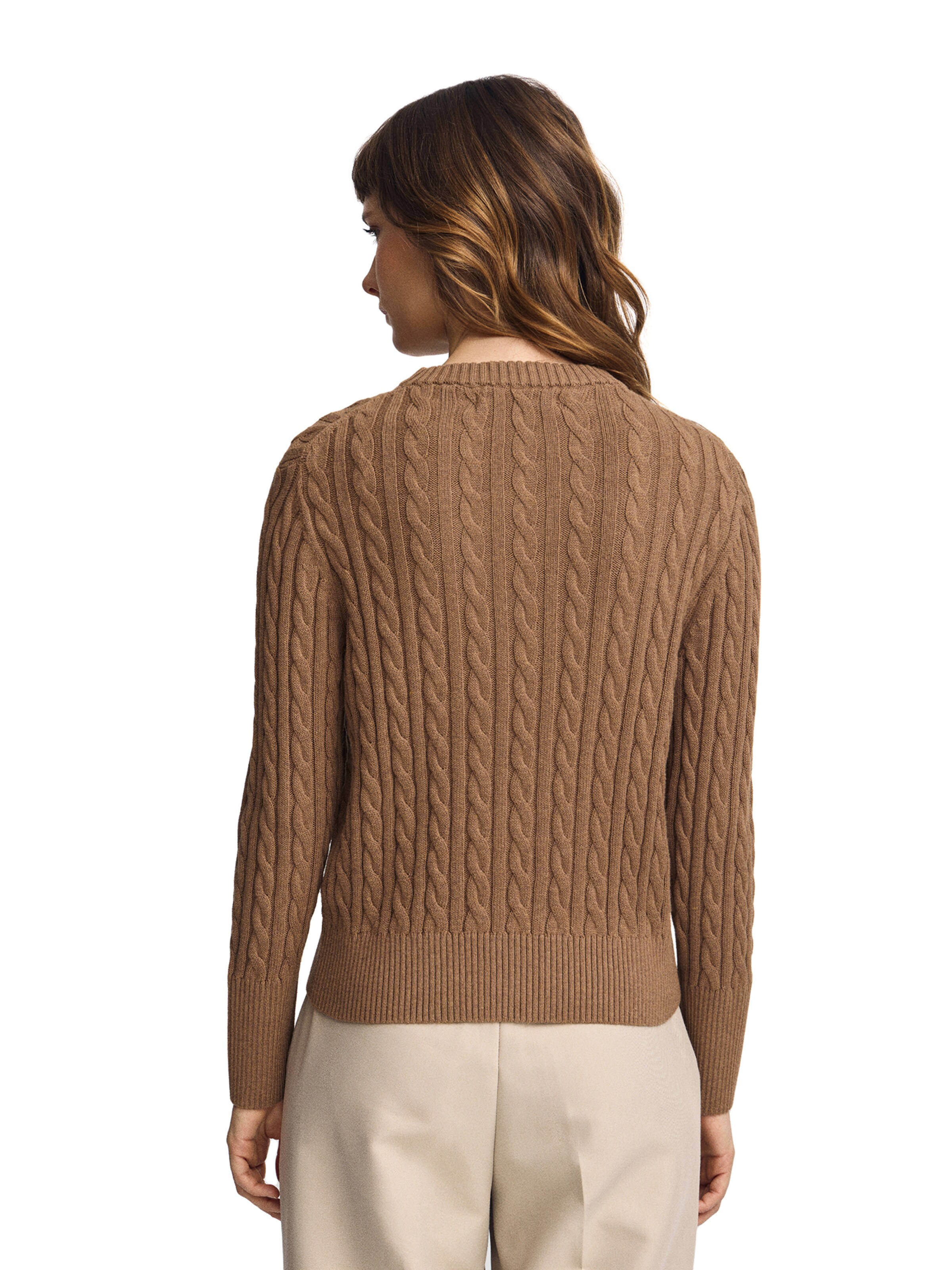 Polo Club Sweater in Brown