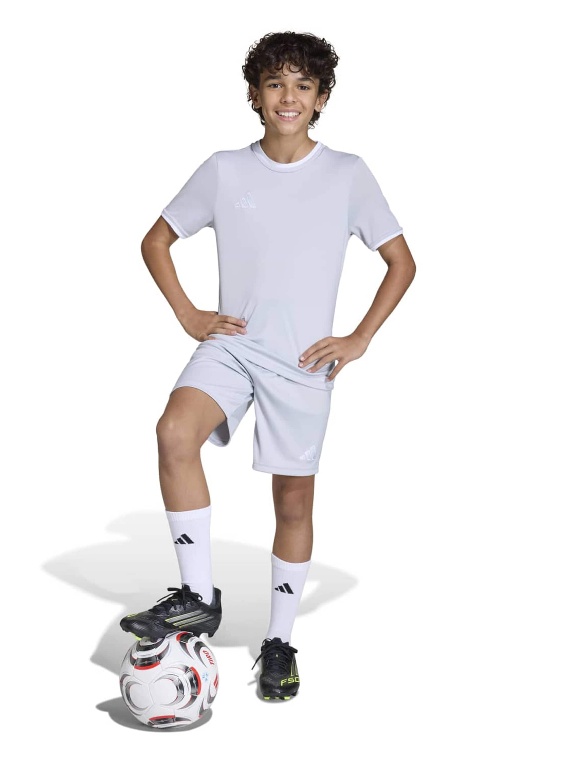 ADIDAS PERFORMANCE - regular Pantalón deportivo 'ENT26' en gris