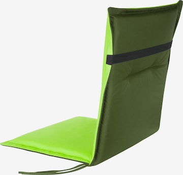 Aspero Stuhlauflagen in Grün