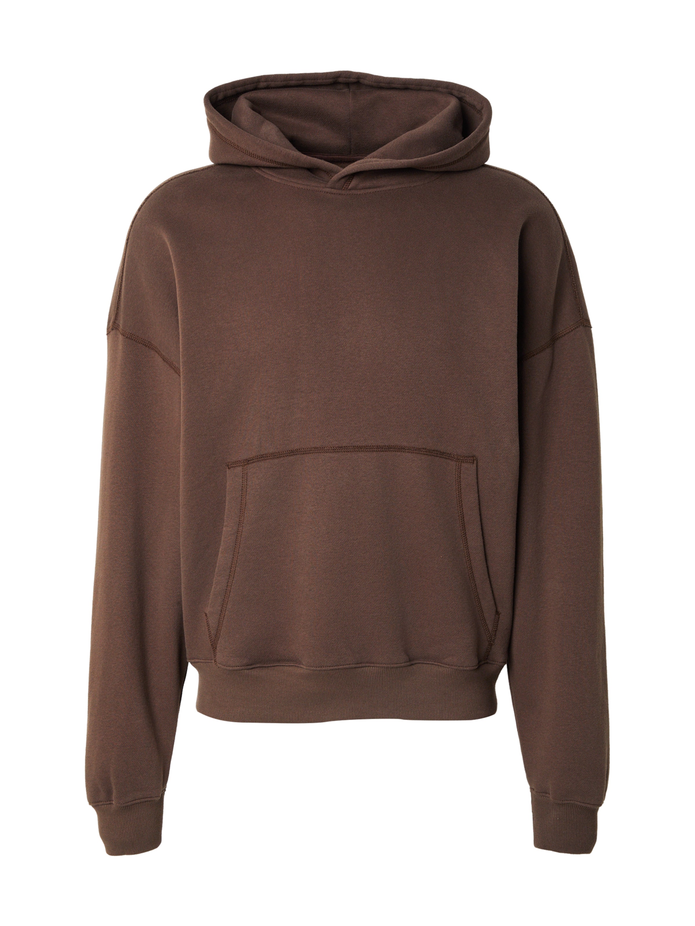 HOLLISTER Bluzka sportowa w kolorze brązowy: przód