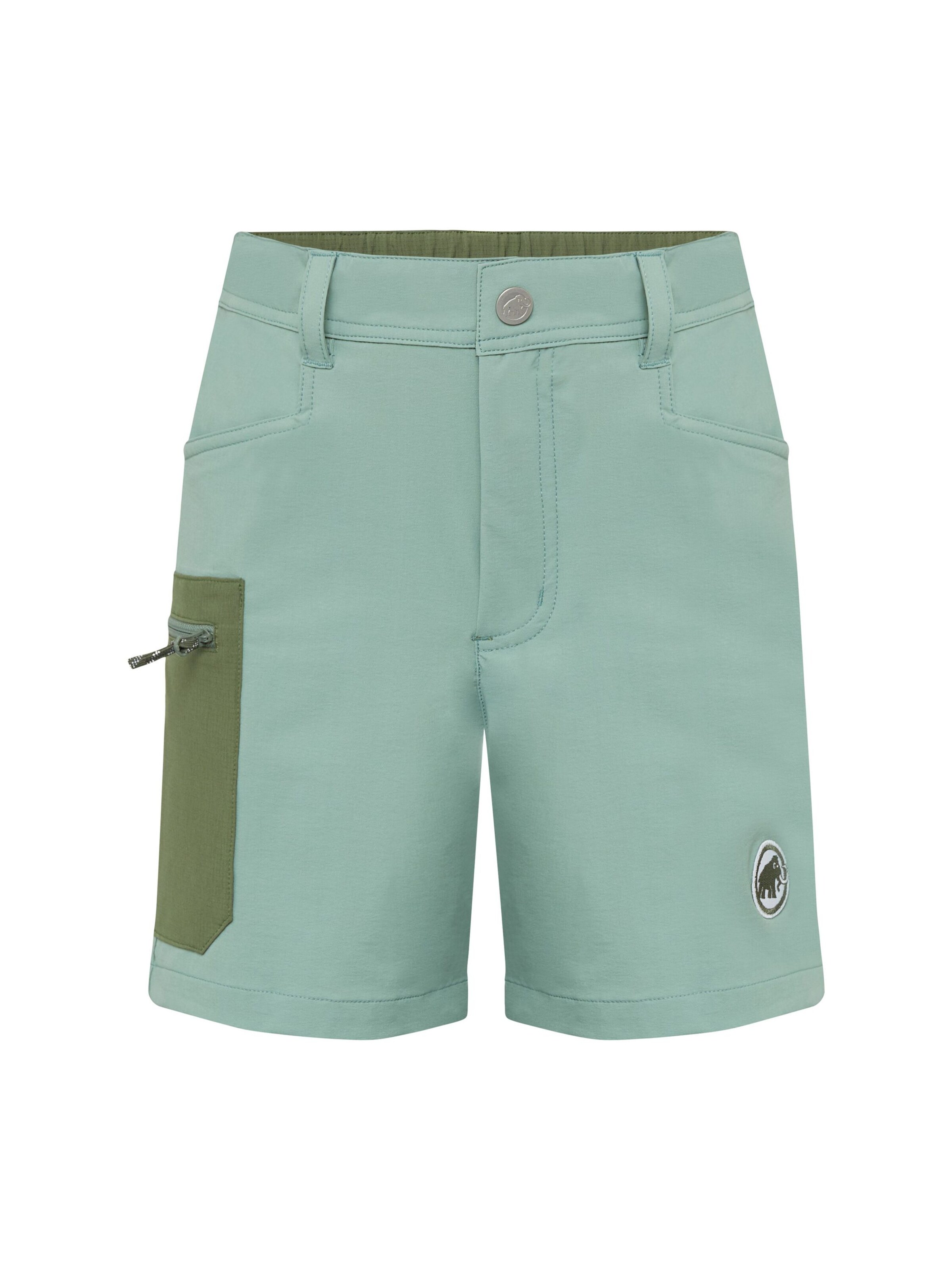 MAMMUT Regular Outdoor Pants 'Taiss' in Green: front
