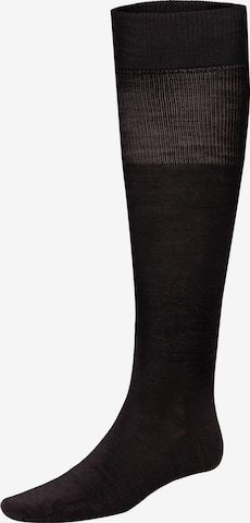 Chaussettes montantes 'Gary' KUNERT en marron : devant