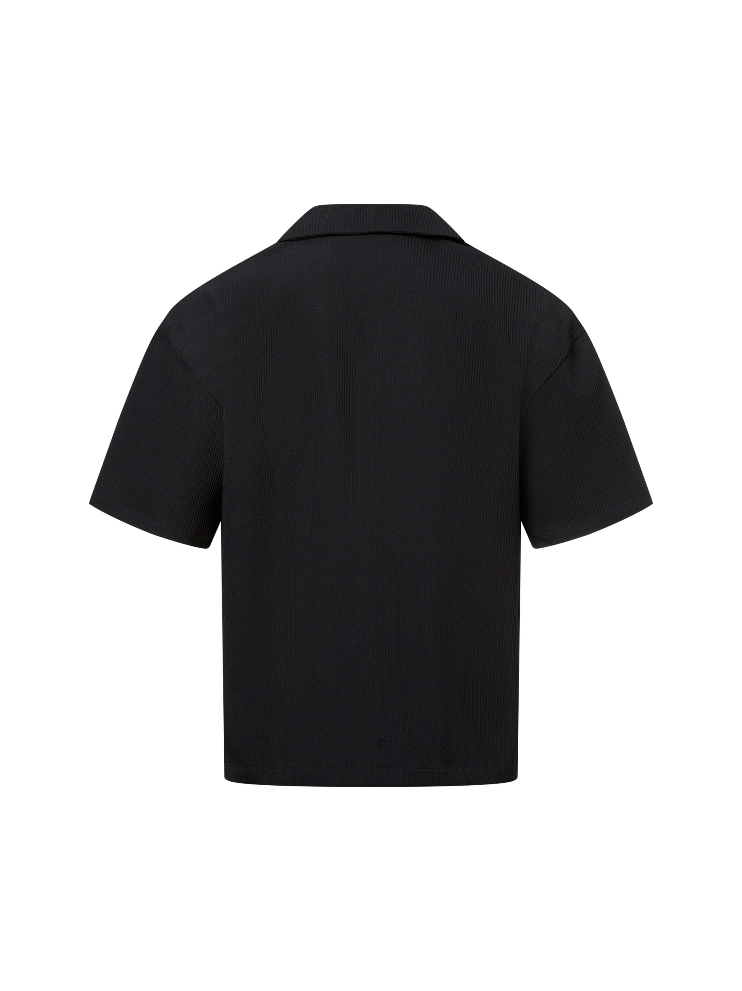 Pegador Классический крой Рубашка 'Troy' в Черный