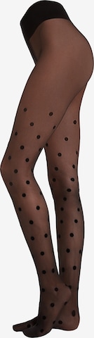 CALZEDONIA Tights in Black: front