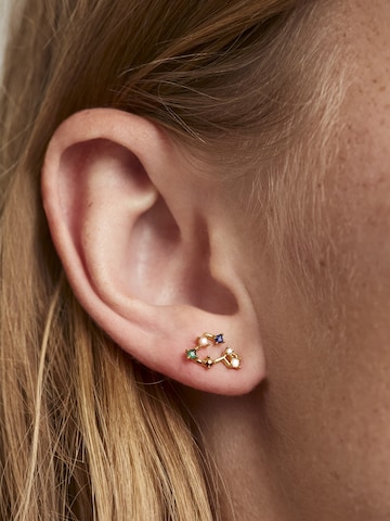 P D PAOLA Earrings 'Pisces' in Gold