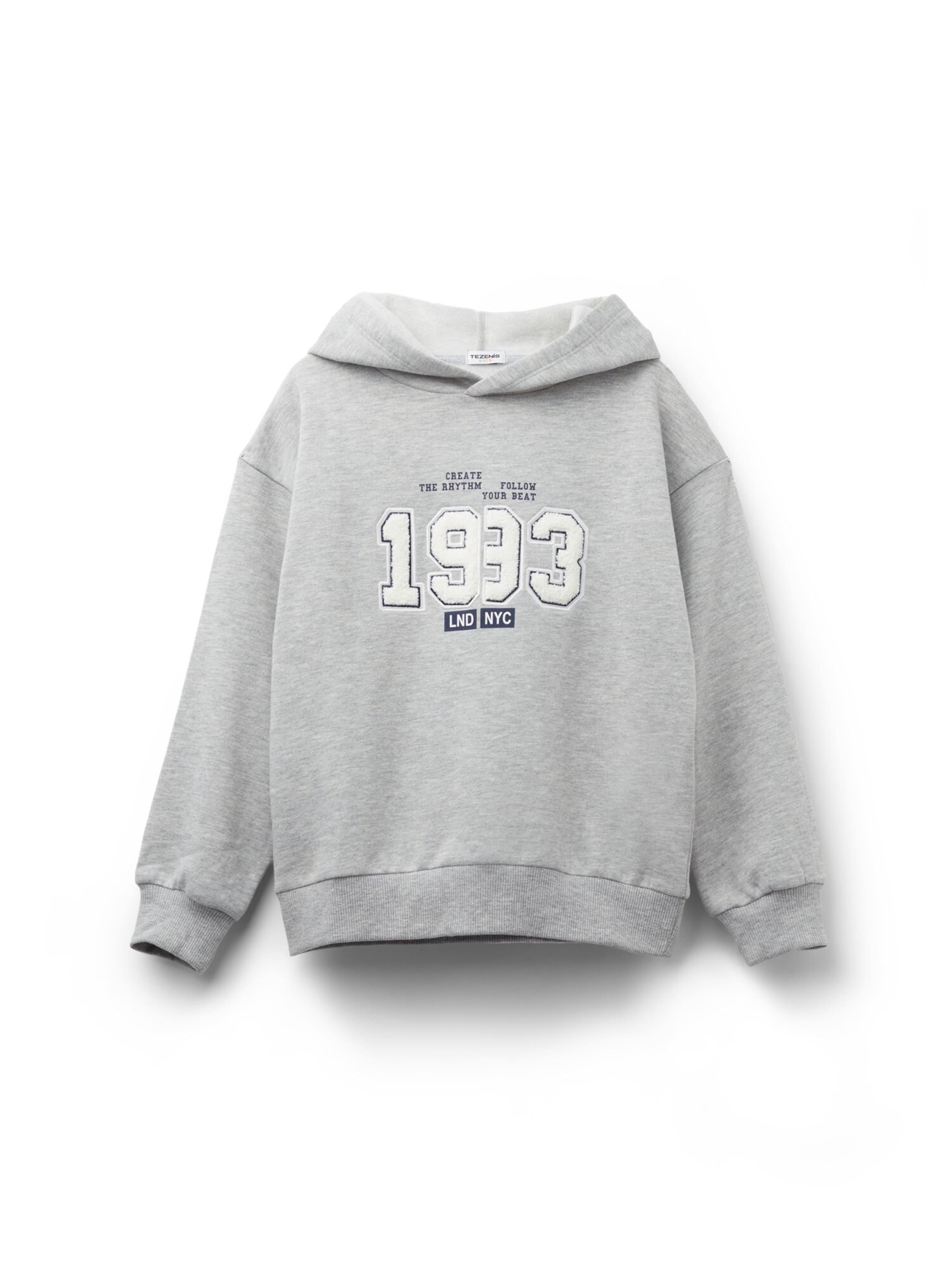 Tezenis Sweatshirt in Grey: front