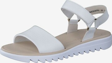 Paul Green Strap Sandals in White: front