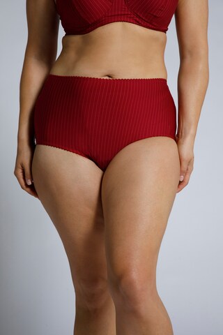 Ulla Popken Panty in Rot: Vorderseite