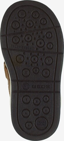 GEOX Sneakers in Bruin