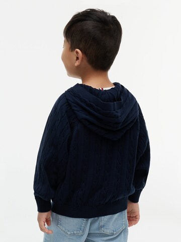 TOMMY HILFIGER Pullover in Blau