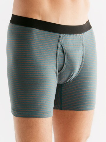 Albero Natur Boxer shorts in Green