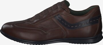 Galizio Torresi Sneakers '313098' in Brown