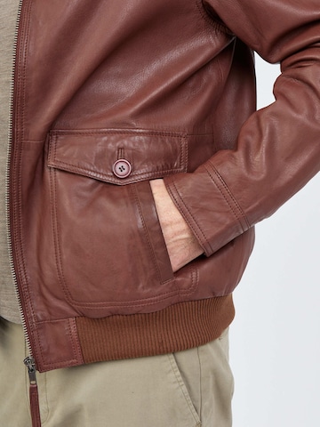 JCC Tussenjas 'Samuel' in Bruin