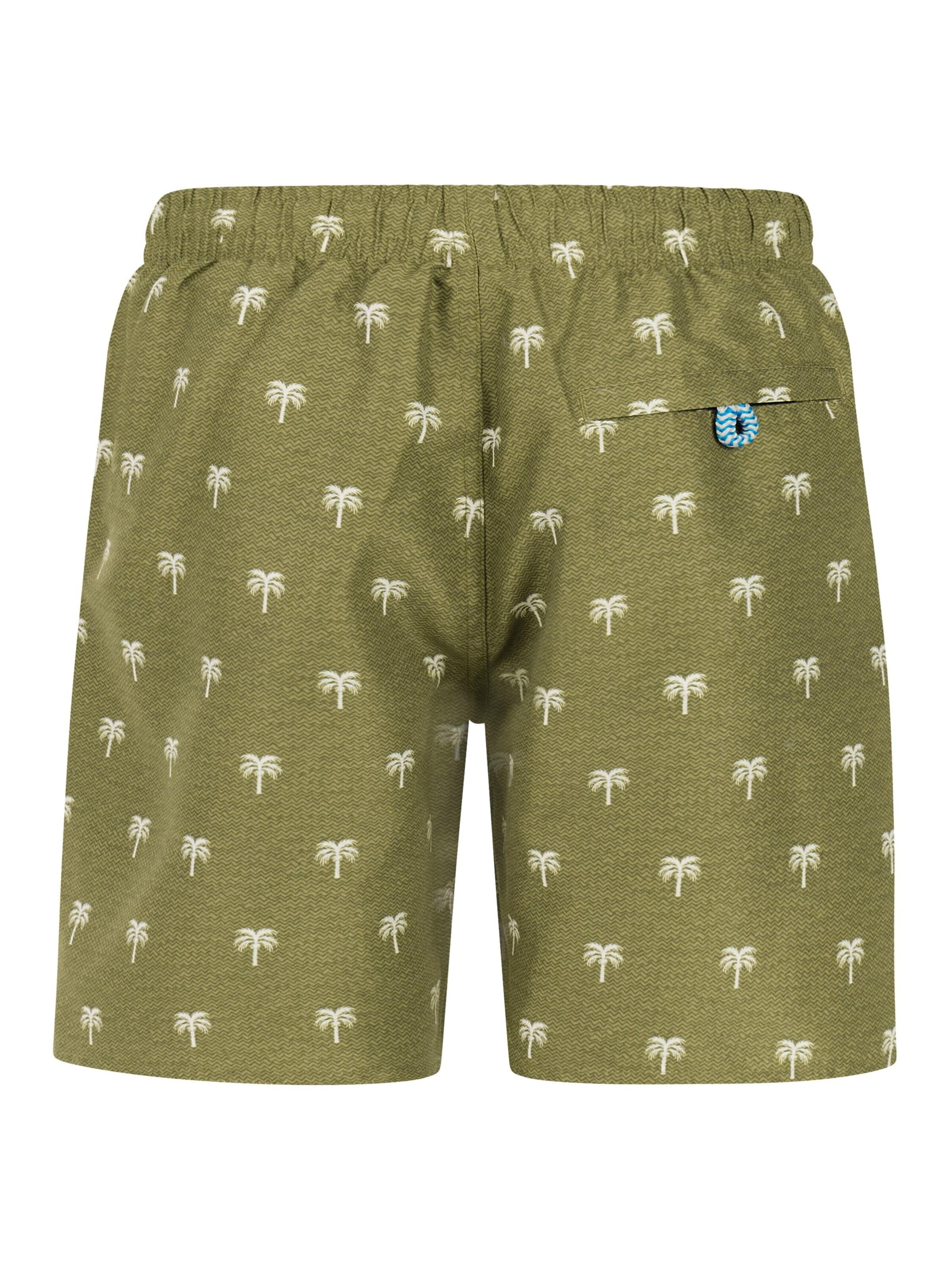 Shorts de bain 'PRTCalvin JR' PROTEST en vert