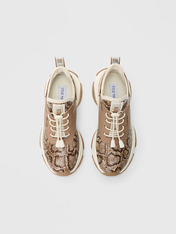 STEVE MADDEN Rövid szárú sportcipők 'MATCH' - barna