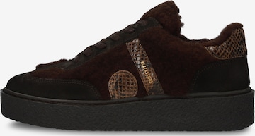 Sneaker bassa 'ENJAR NATUK' di BLACKSTONE in marrone: frontale