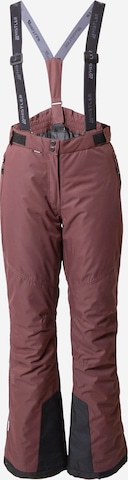 Whistler Regular Workout Pants 'Fairfax' in Brown: front