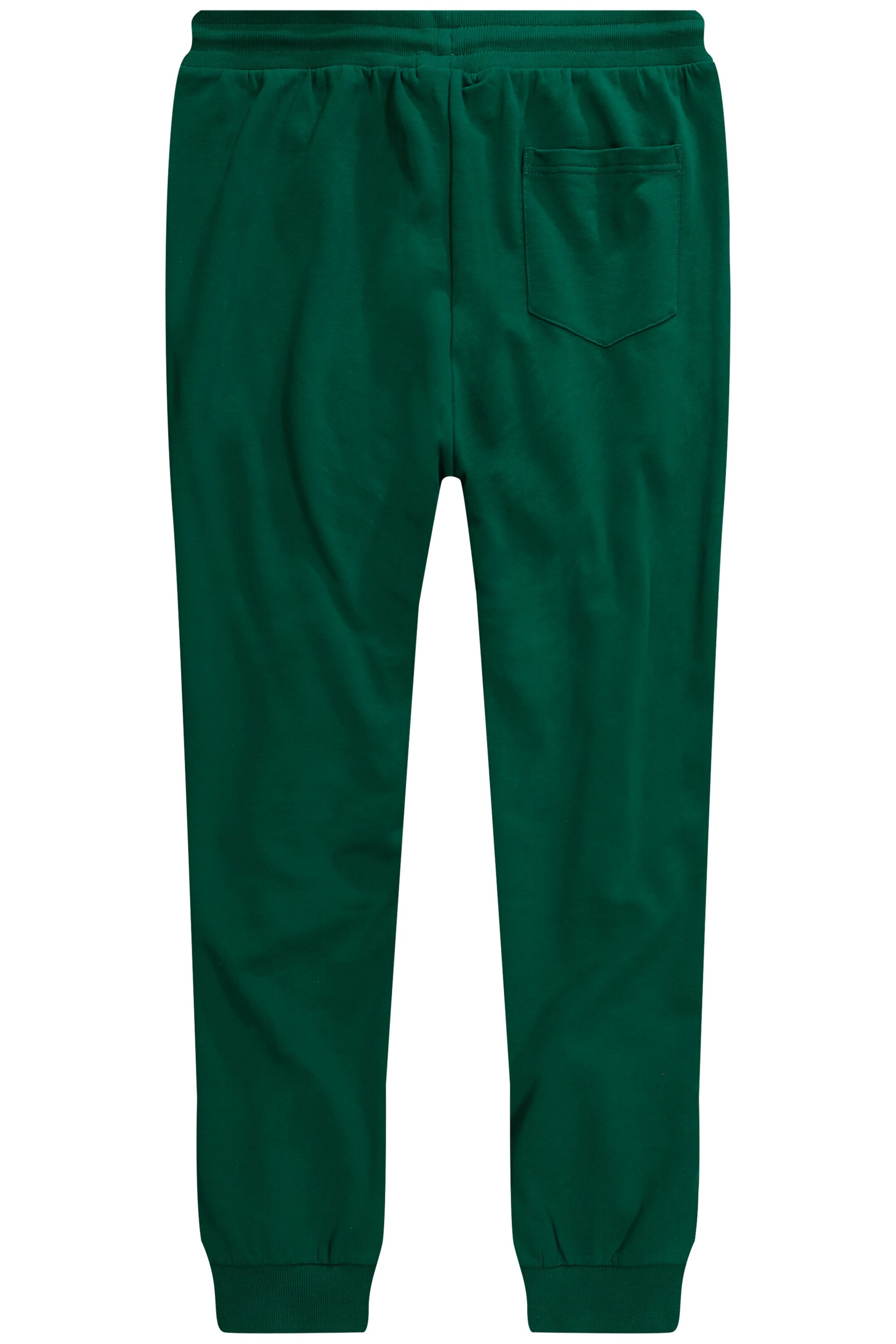 Men Plus Tapered Broek in Groen