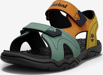 TIMBERLAND Sandals & Slippers in Green: front